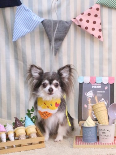 20250516空太くん